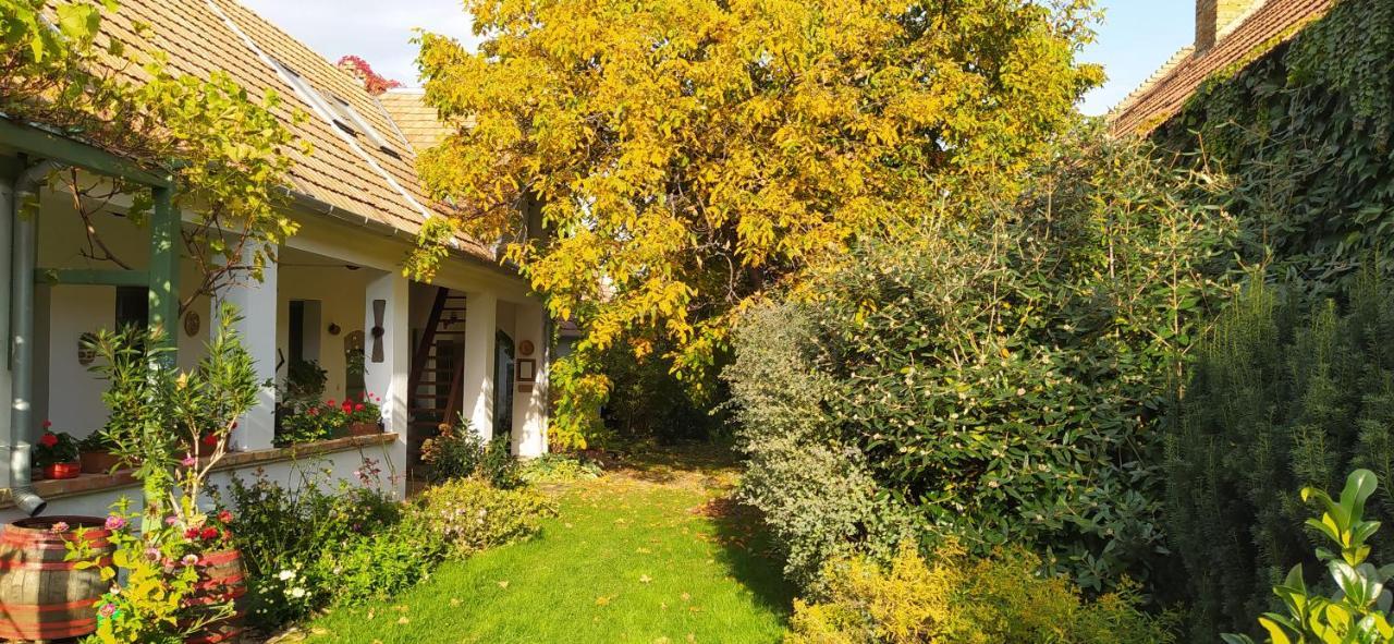 Égkőris Vendégház Bakonyszucs Exterior foto