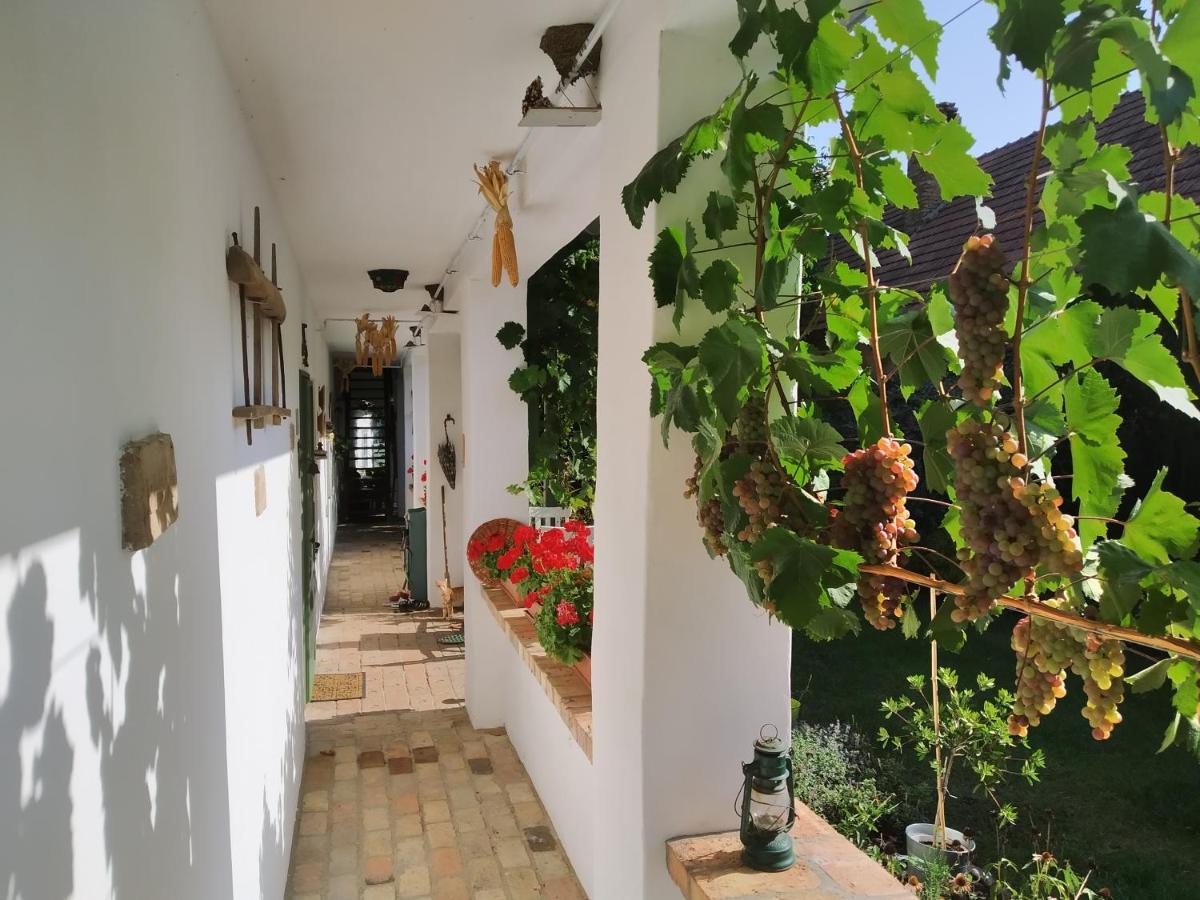 Égkőris Vendégház Bakonyszucs Exterior foto