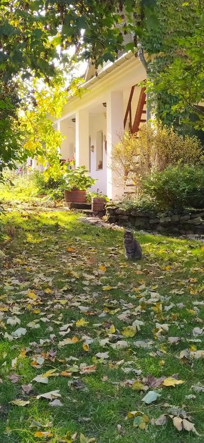 Égkőris Vendégház Bakonyszucs Exterior foto