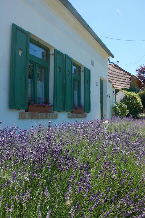 Égkőris Vendégház Bakonyszucs Exterior foto