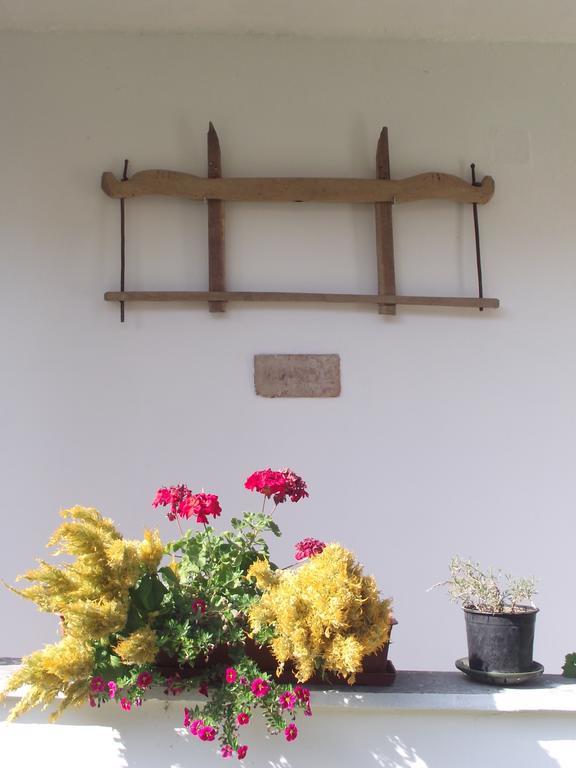 Égkőris Vendégház Bakonyszucs Exterior foto